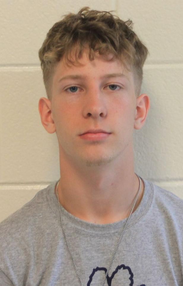 Anthony Silvani, Park